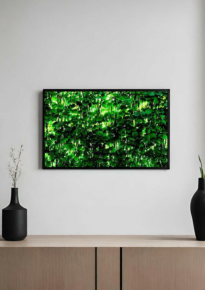 Dappled Green