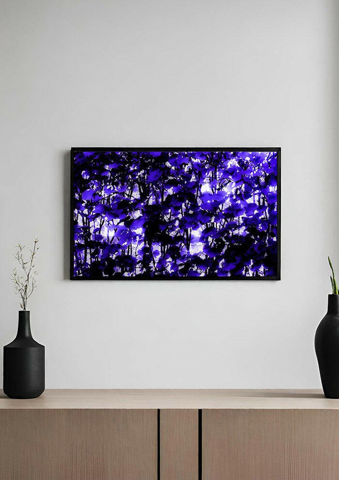 Dappled Purple