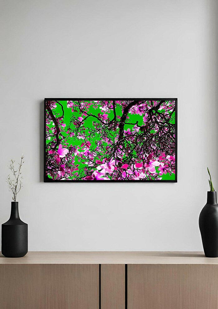 March Of The Magnolia In Technicolour