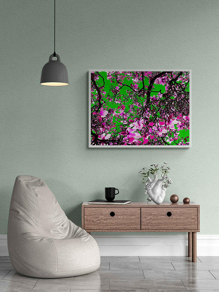 March Of The Magnolia In Technicolour