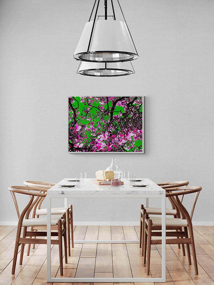 March Of The Magnolia In Technicolour