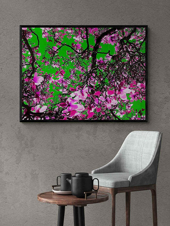 March Of The Magnolia In Technicolour