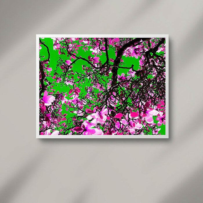 March Of The Magnolia In Technicolour