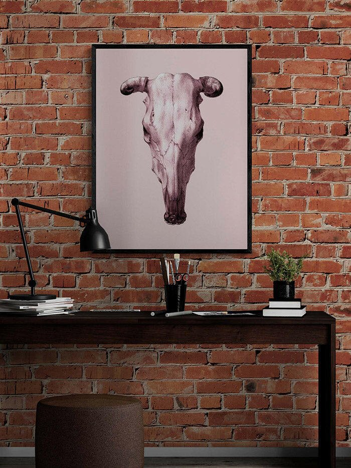 Cow's Skull