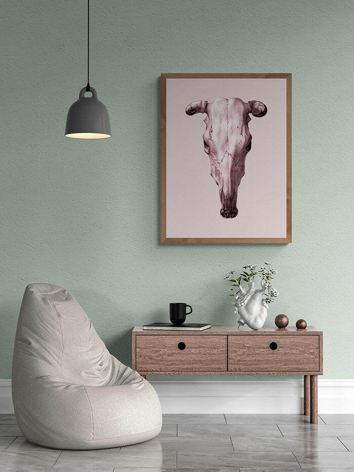 Cow's Skull