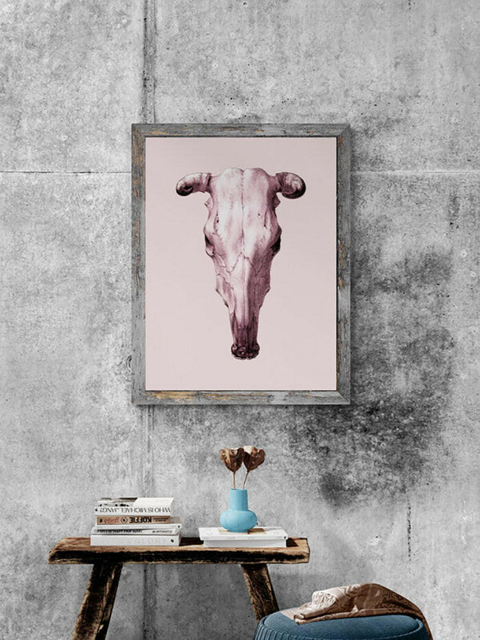 Cow's Skull