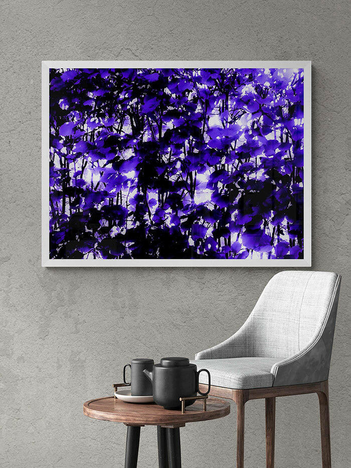 Dappled Purple