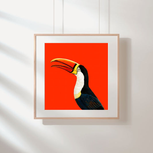 Toucan Vintage Wall Art Made Modern, Colourful & Bold Decor