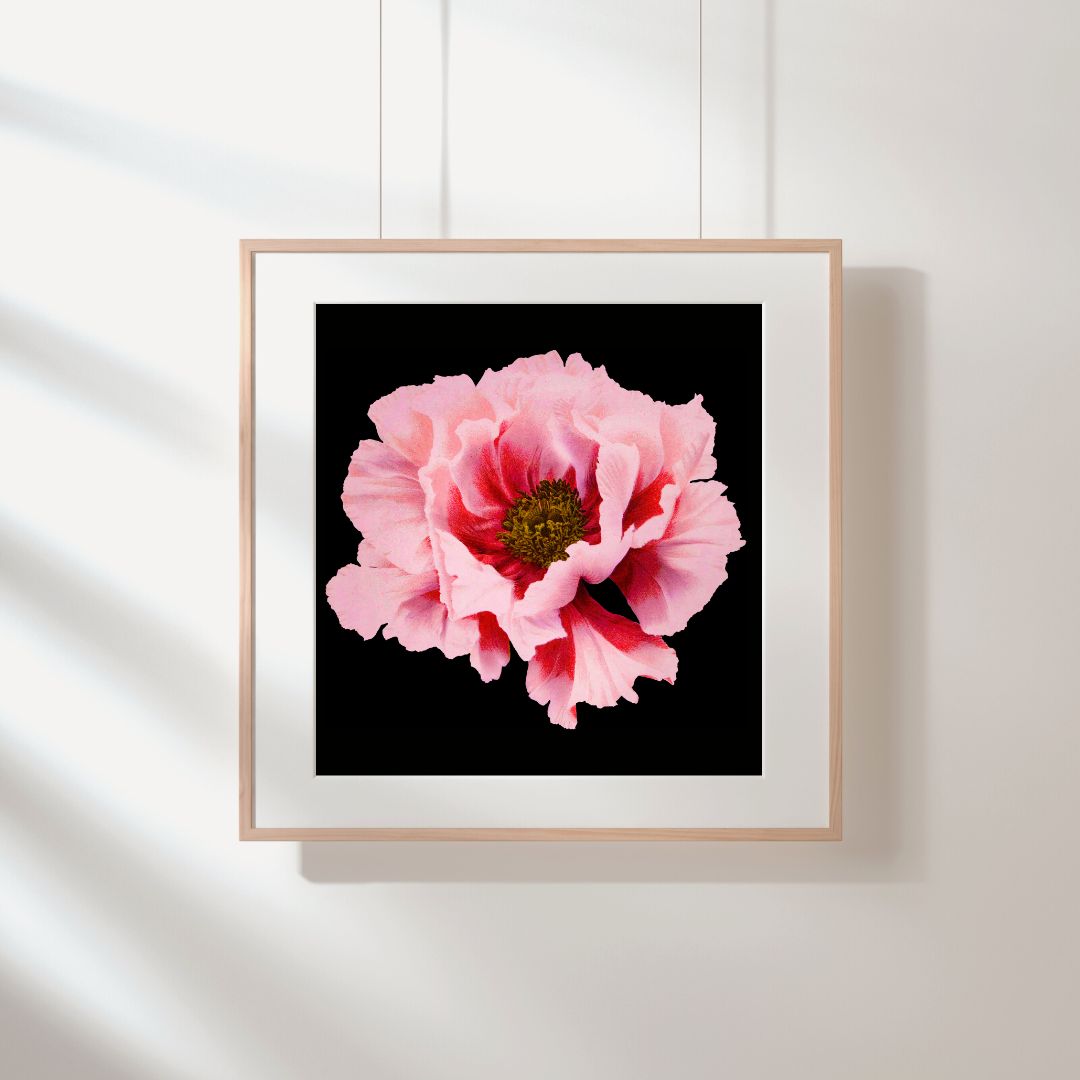 Pretty Vintage Pink Flower Wall Art, Moody Modern Home Decor