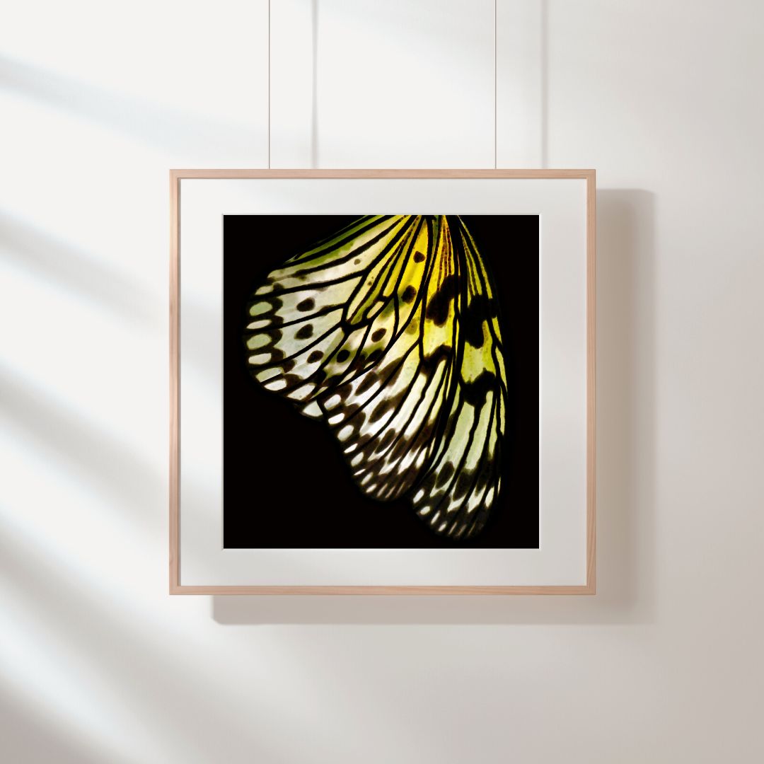 Butterfly Wall Art Download, Vintage Decor Made Modern