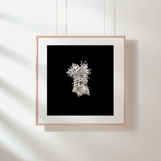 Heart-Shaped Lichen Wall Art Download, Elegant Home Decor