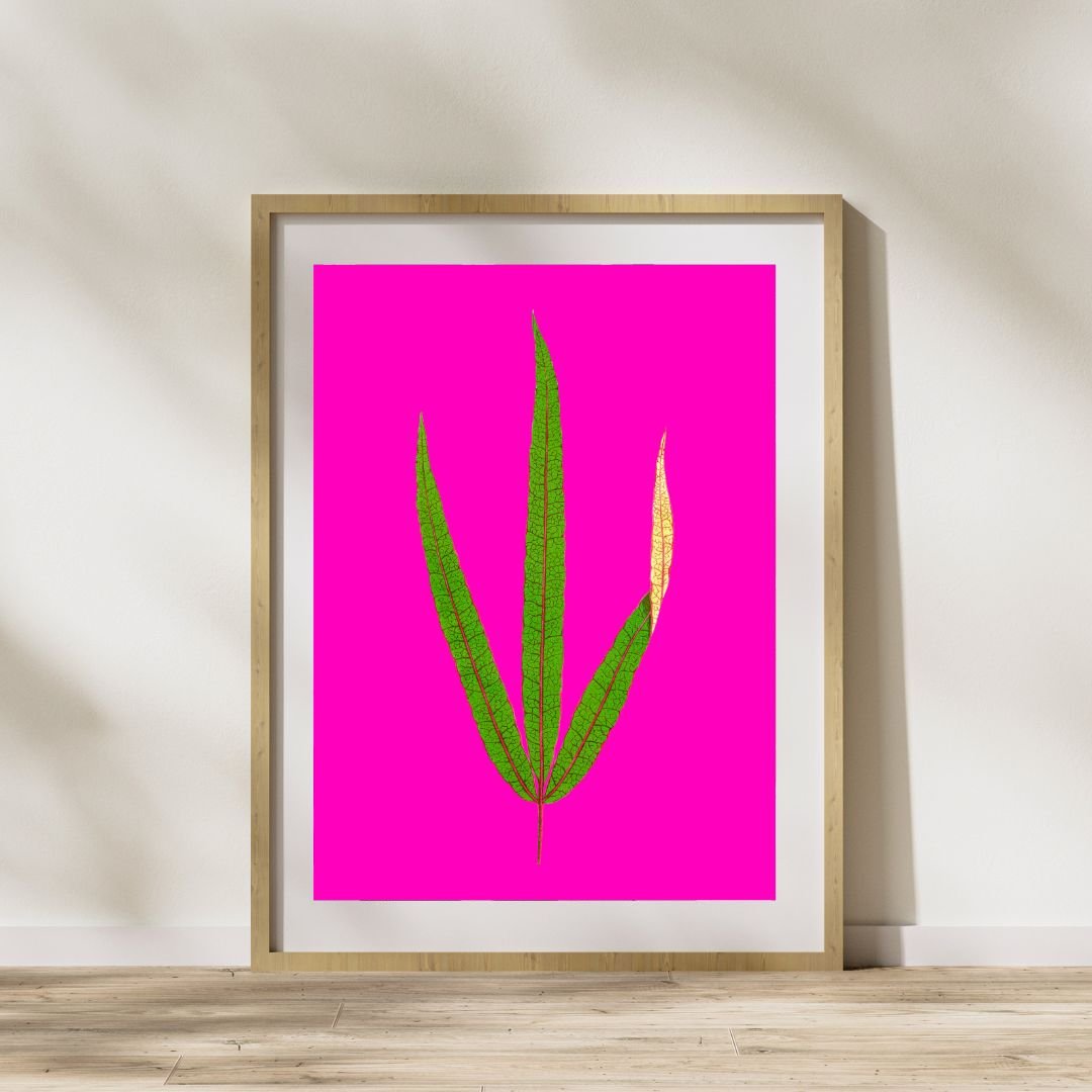 The Art Starter Pack