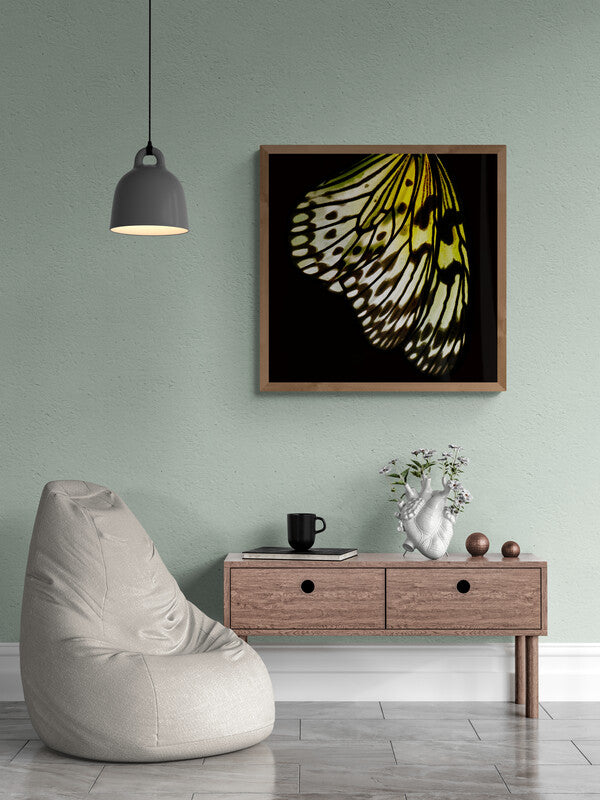 Butterfly Wall Art Download, Vintage Decor Made Modern