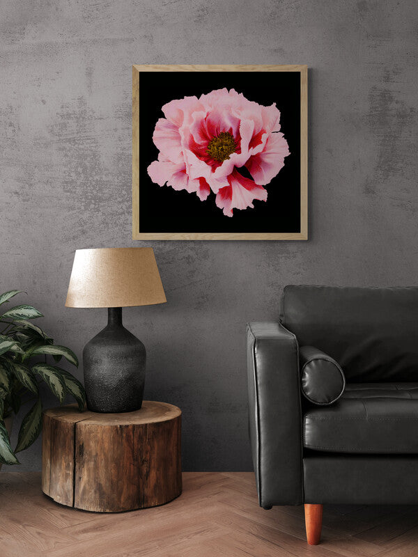 Pretty Vintage Pink Flower Wall Art, Moody Modern Home Decor