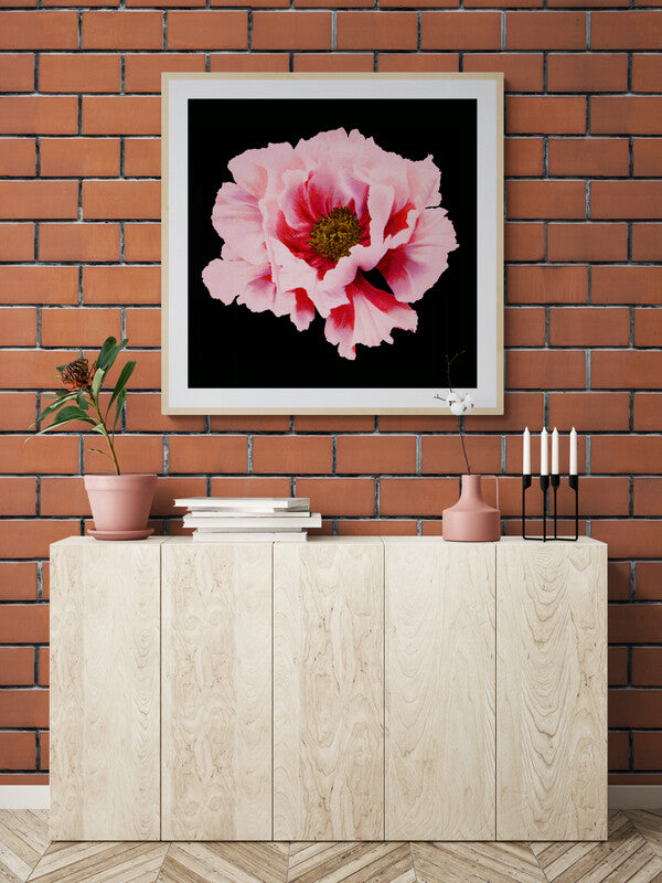 Pretty Vintage Pink Flower Wall Art, Moody Modern Home Decor