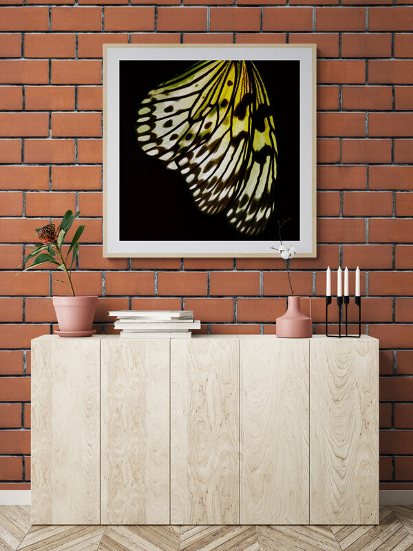 Butterfly Wall Art Download, Vintage Decor Made Modern