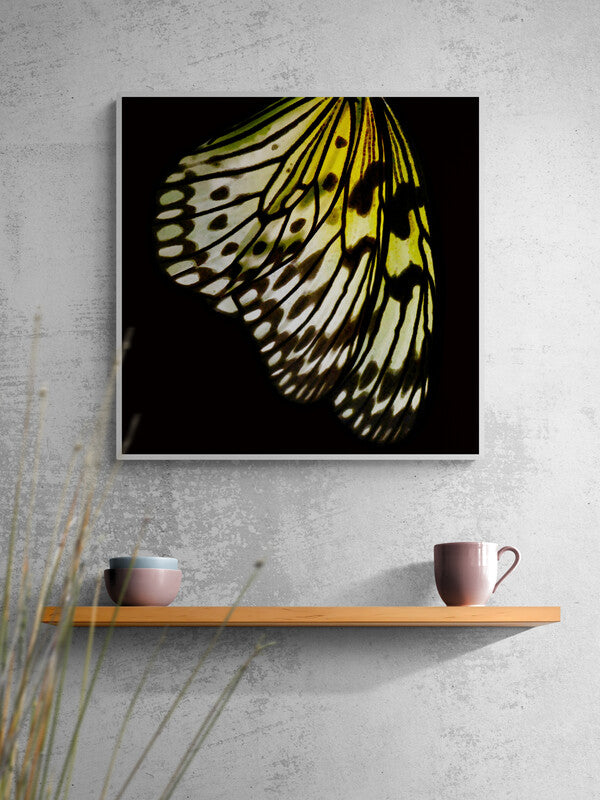 Butterfly Wall Art Download, Vintage Decor Made Modern