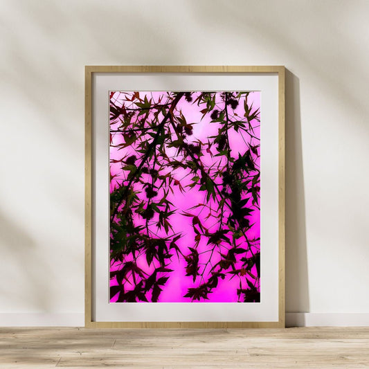 Japanese Maple Tree Art Download, Majestic Pink Decor