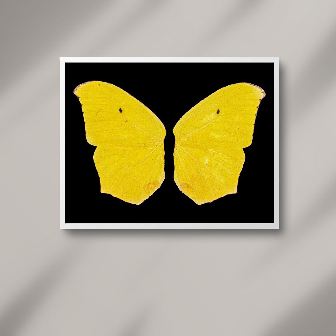 Updated Vintage Yellow Butterfly Download, Cool Artistic Decor