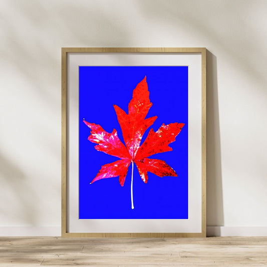 Striking Wall Art of a Bigleaf Maple Leaf, Bold Printable Decor