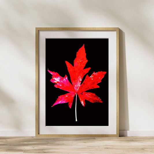 Bigleaf Maple Leaf Art Download, Red and Black Home Decor