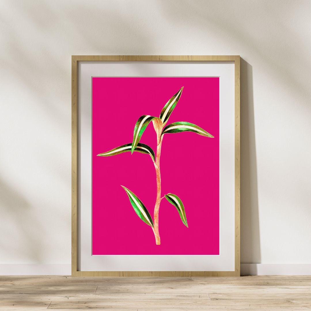 Vintage Plant Printable Wall Art, Green Botanical on Vibrant Pink Decor