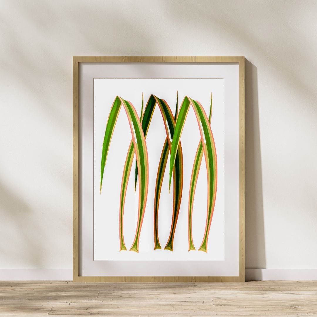 Yucca Art Download, Vintage Meets Contemporary Decor