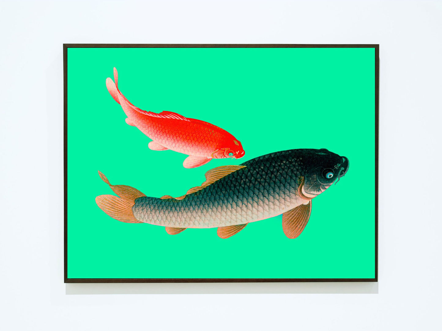 Vintage Fish Illustration Download, Remastered Ocean Decor