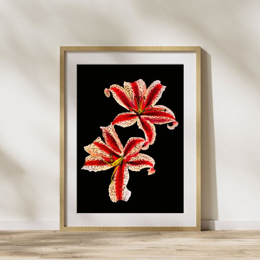 Contemporary Lilies Art Download, Vintage-Inspired Botanical Decor