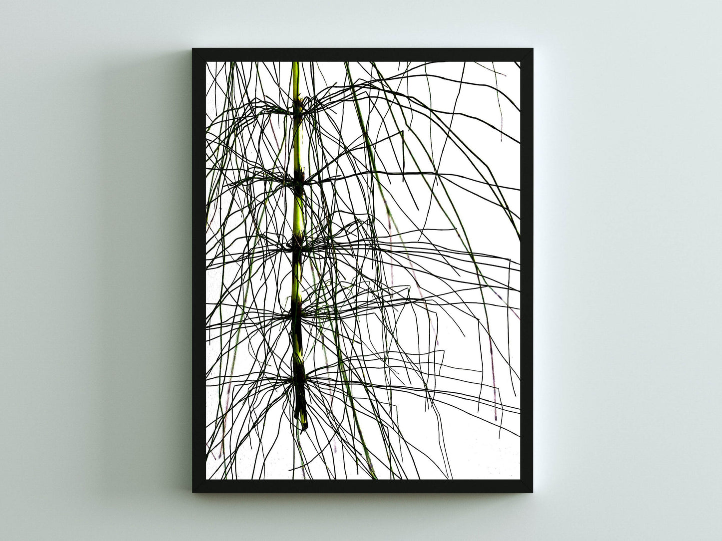 Mare's Tail Plant Art Download, Bold & Striking Original Decor