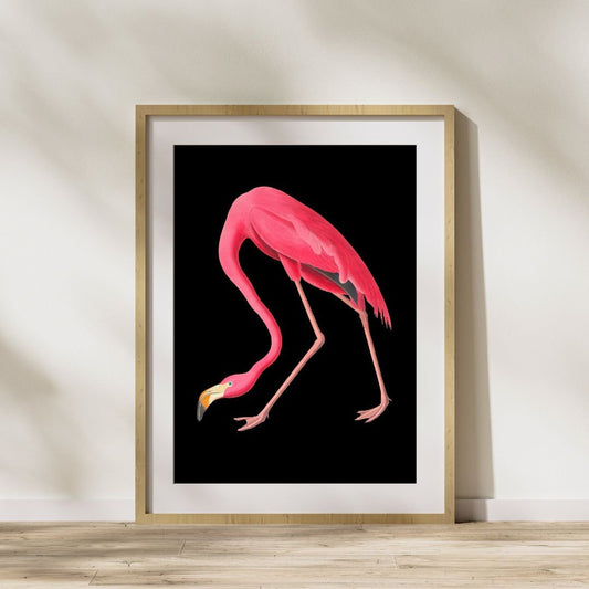 Pink Flamingo Art Download, Retro Yet Modernised Home Decor