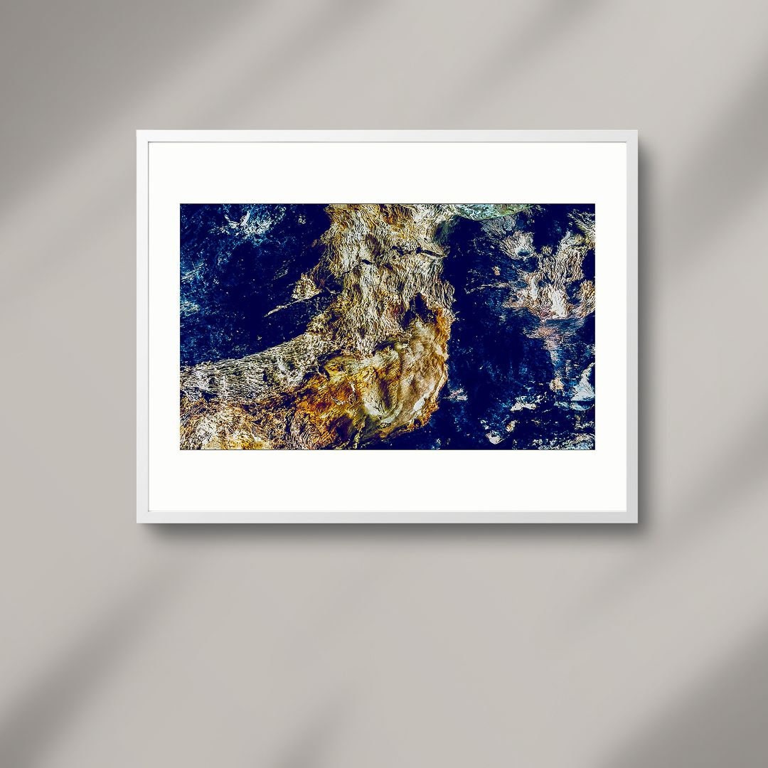 Lichen & Moss Tree Wall Art Download, (With White Border)